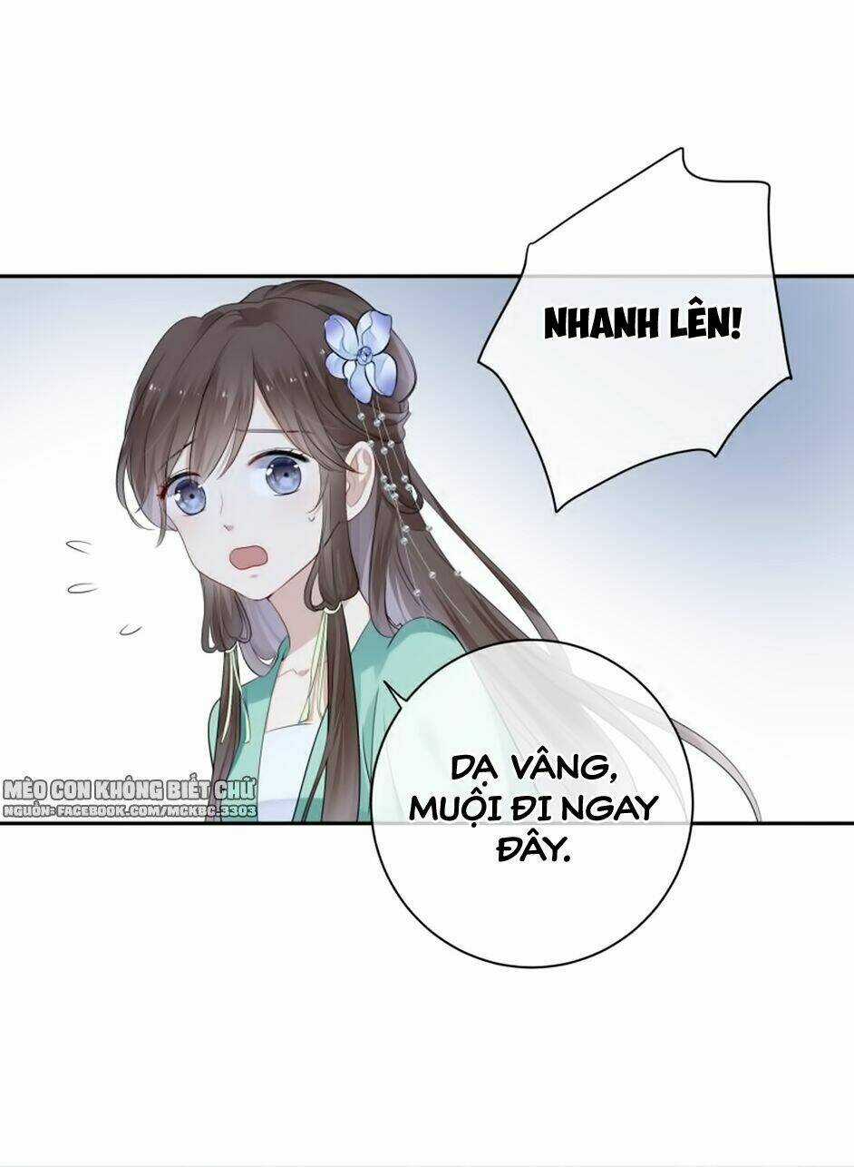Kính Hoa Thương Chapter 11 trang 6