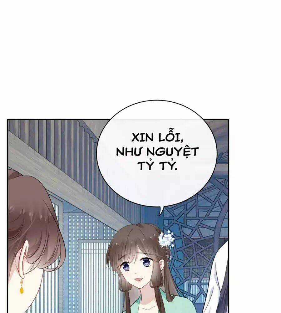 Kính Hoa Thương Chapter 19 trang 48