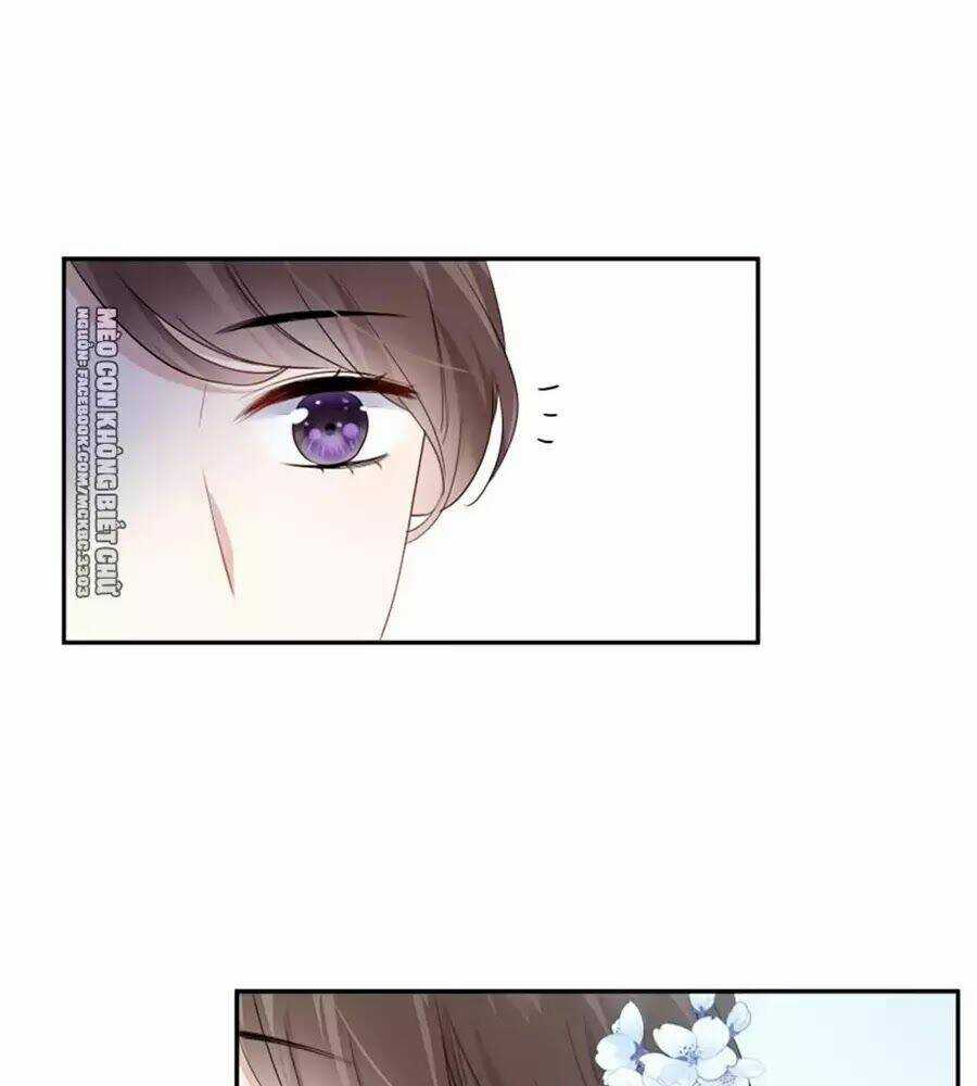 Kính Hoa Thương Chapter 19 trang 52