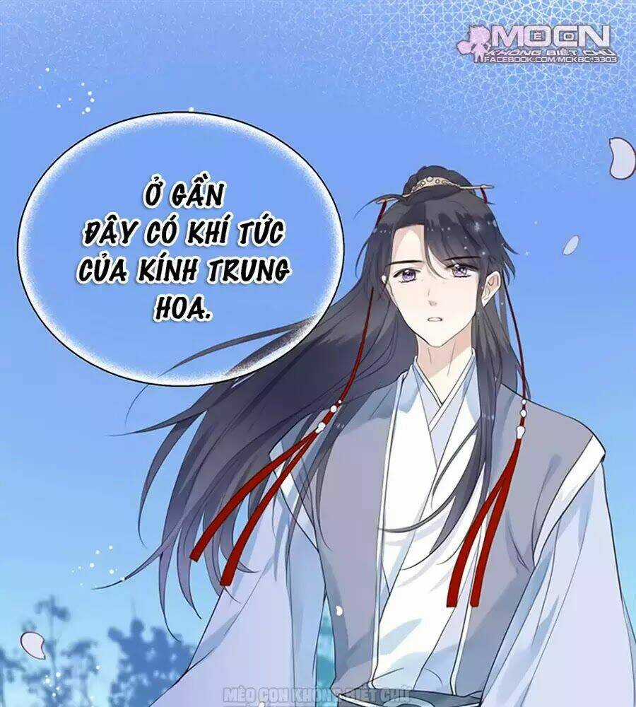 Kính Hoa Thương Chapter 24 trang 93