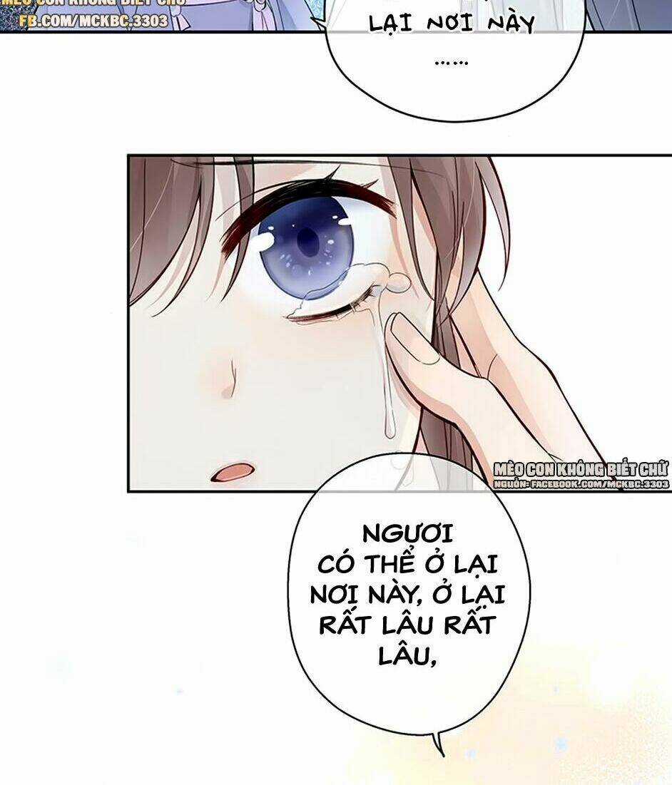 Kính Hoa Thương Chapter 5 trang 5