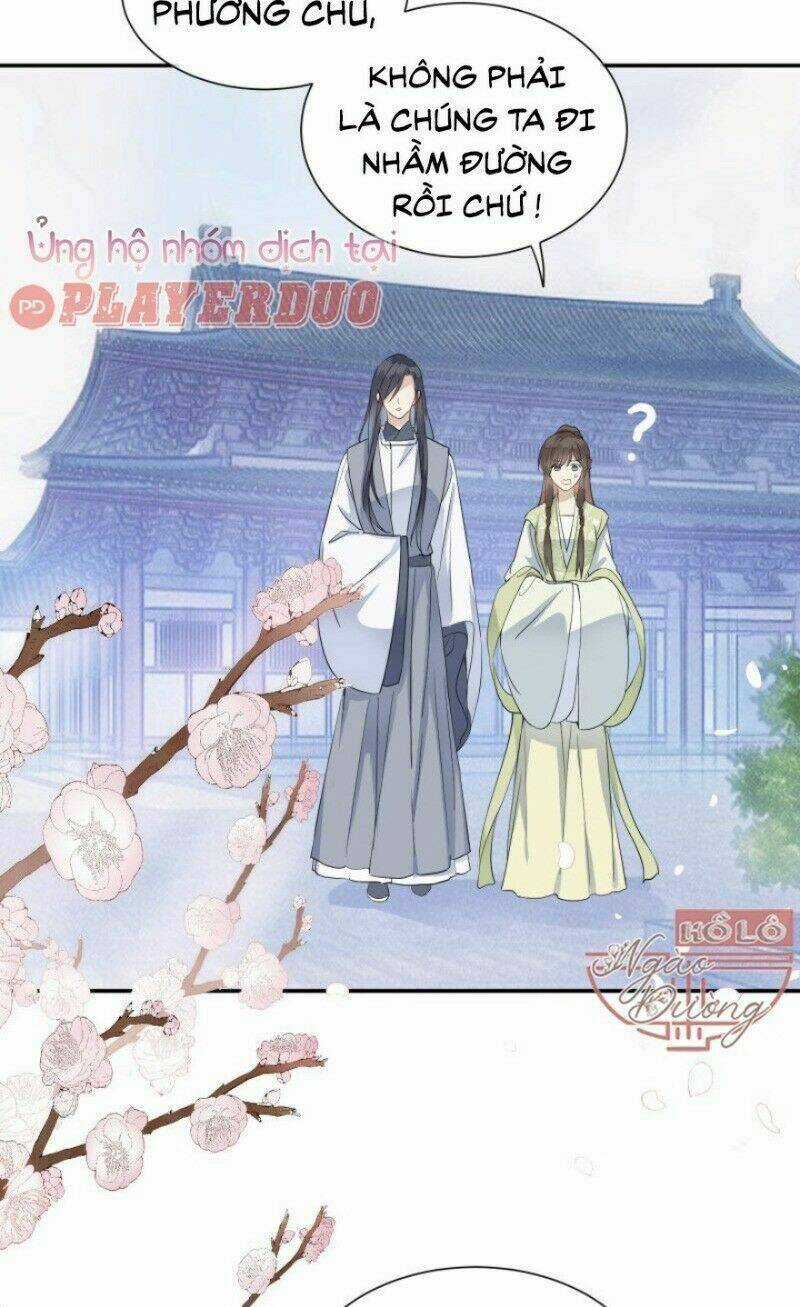 Kính Hoa Thương Chapter 51 trang 11