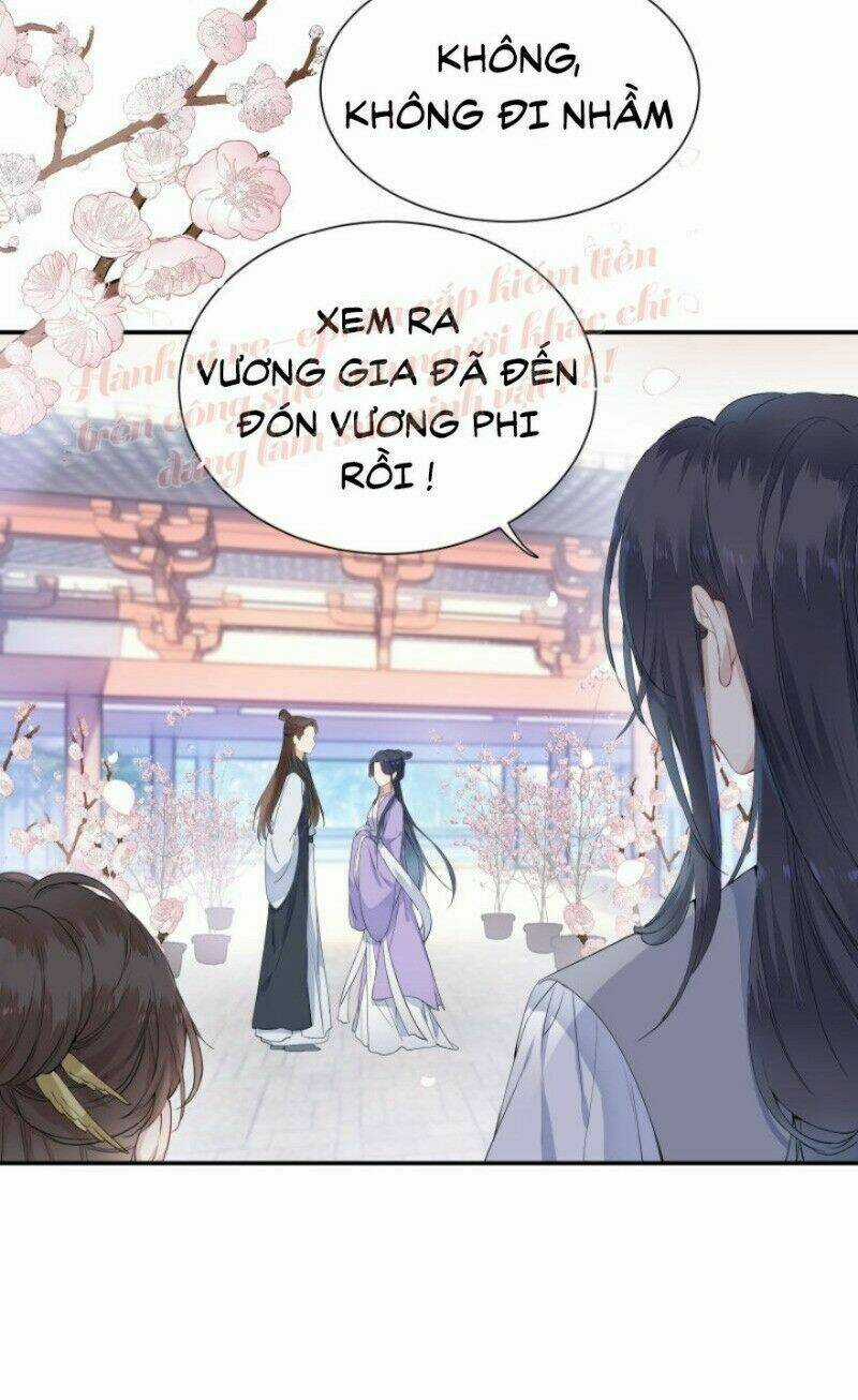 Kính Hoa Thương Chapter 51 trang 12