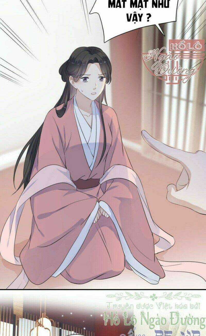 Kính Hoa Thương Chapter 51 trang 3