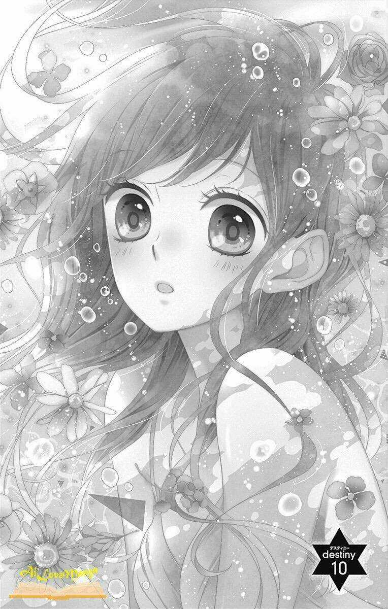 Kirameki No Lion Boy Chapter 10 trang 5