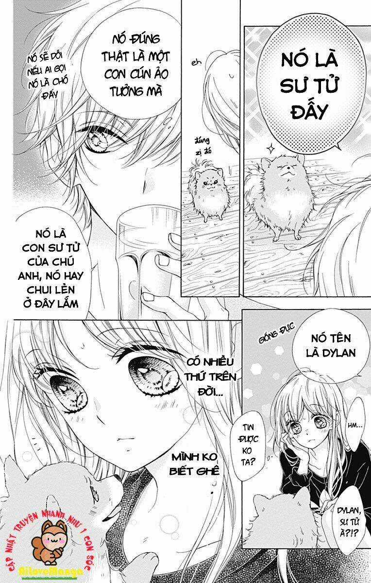 Kirameki No Lion Boy Chapter 13 trang 14