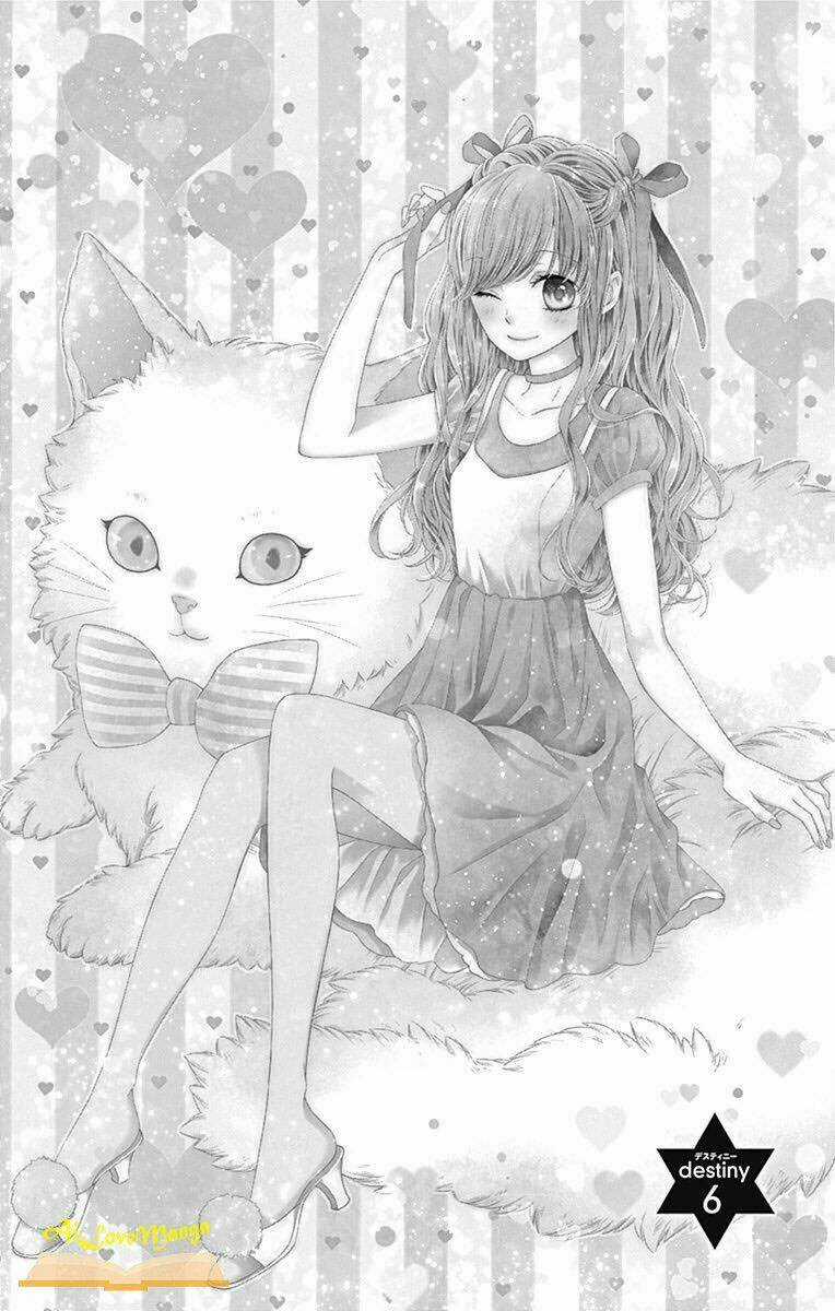 Kirameki No Lion Boy Chapter 6 trang 3