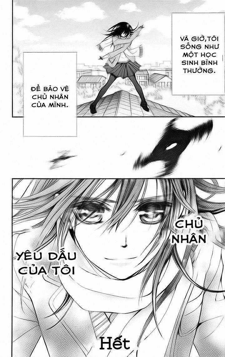 Kirio Mikage - Hậu duệ gia tộc Ninja Chapter 11 trang 31