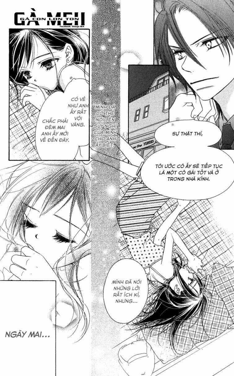 Kiss/Hug Chapter 12 trang 12
