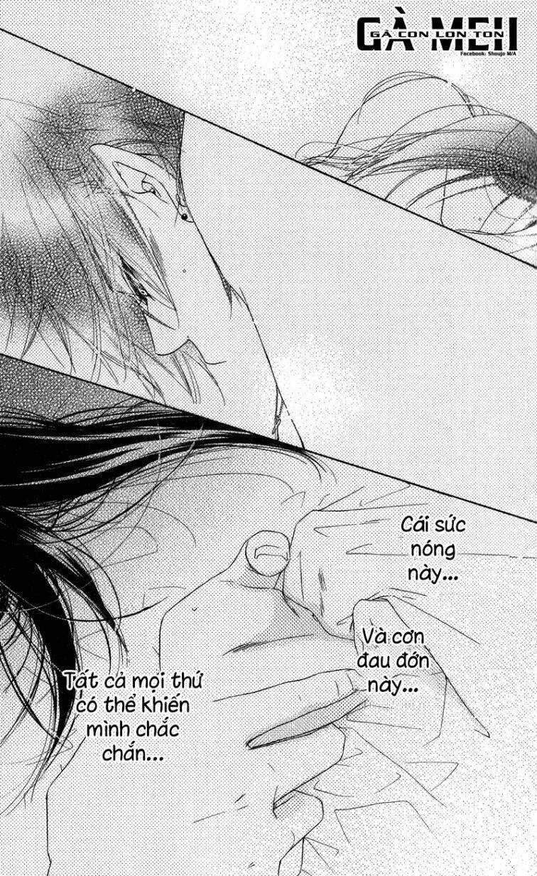 Kiss/Hug Chapter 13 trang 14