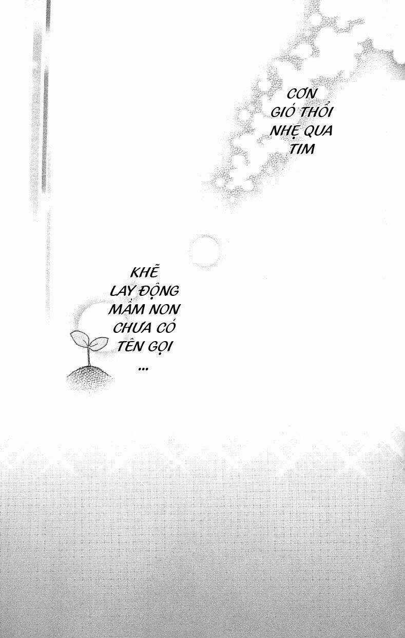 Kiss/Hug Chapter 2 trang 5