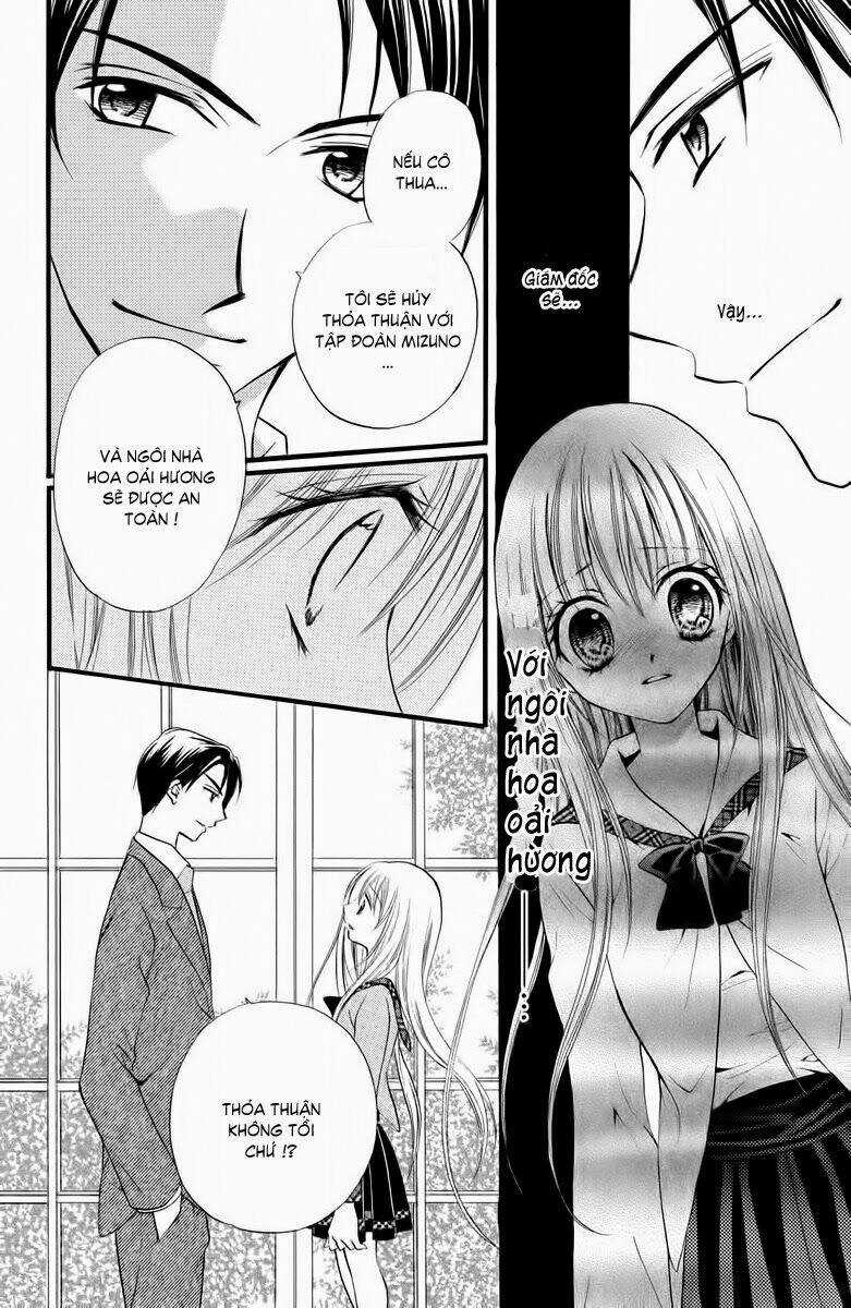 Kitchen no Ohime-sama - Nàng công chúa bánh ngọt Chapter 35 trang 3
