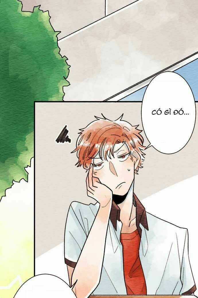 Koe koi Chapter 11 trang 12