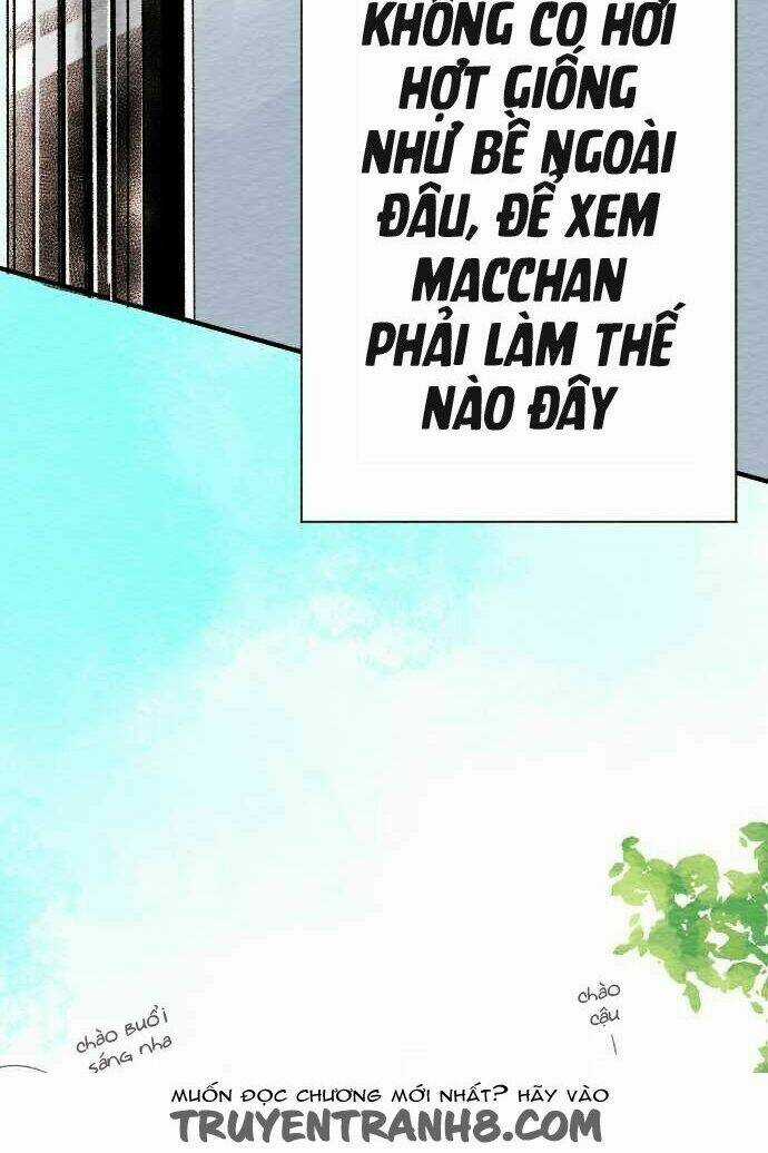 Koe koi Chapter 11 trang 41