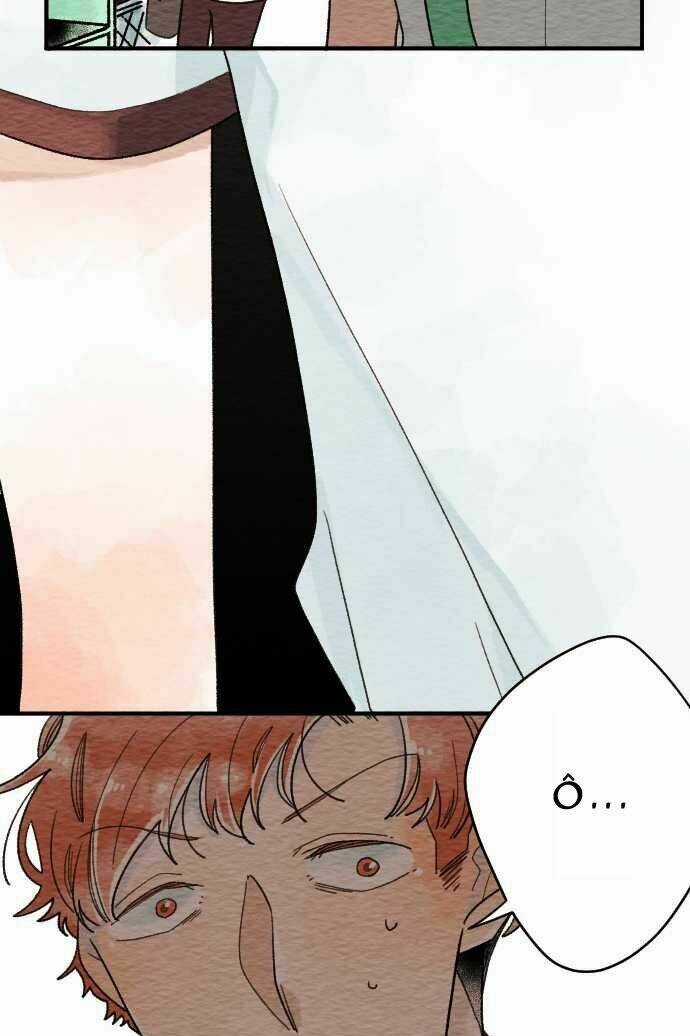 Koe koi Chapter 11 trang 8