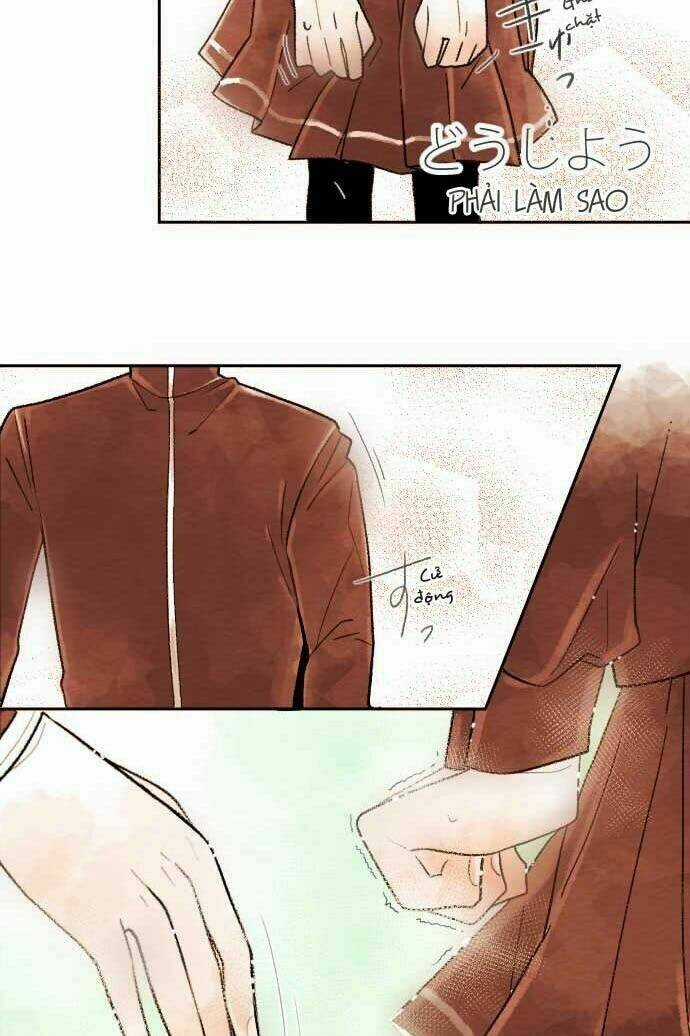 Koe koi Chapter 2 trang 13