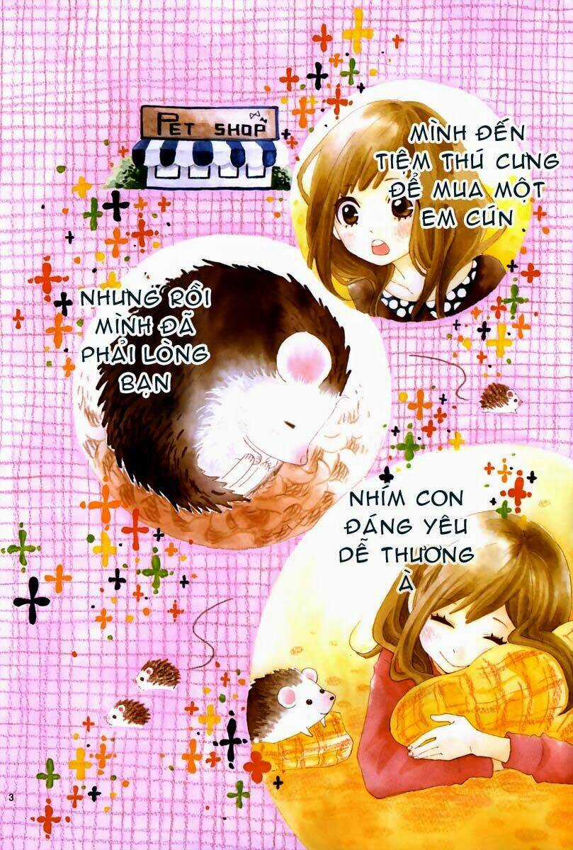 Koisuru Harinezumi Chapter 1 trang 3