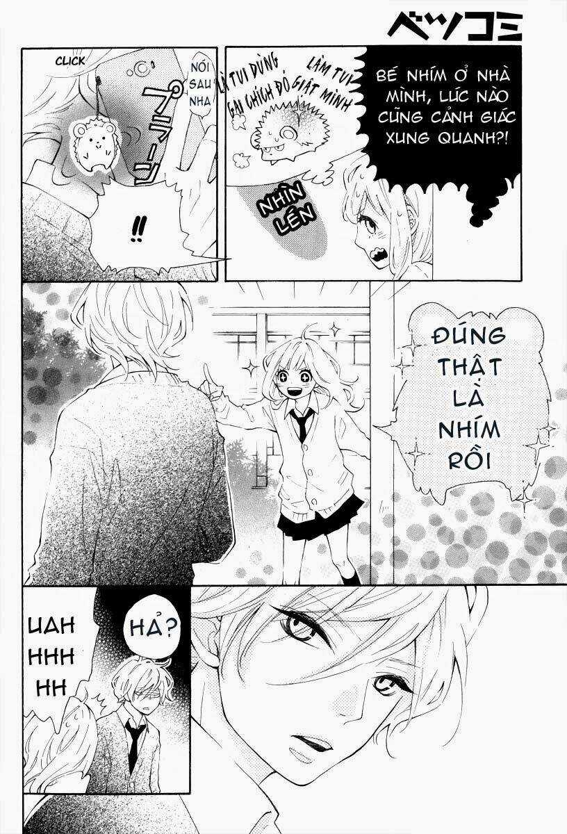 Koisuru Harinezumi Chapter 1 trang 7