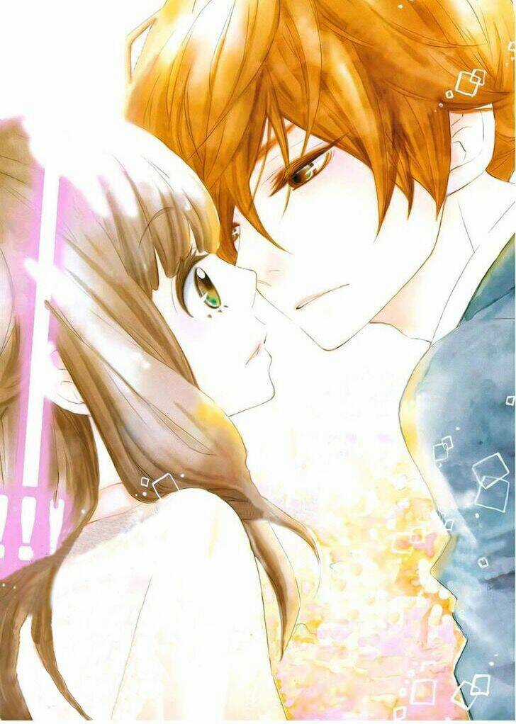 Koisuru Harinezumi Chapter 11 trang 2