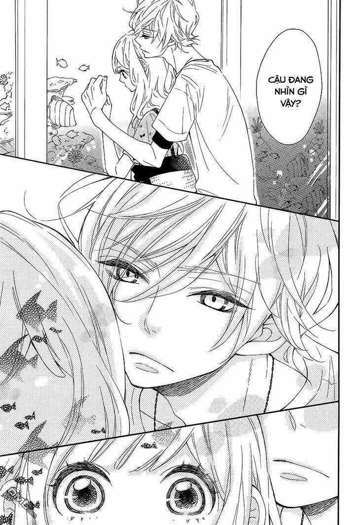 Koisuru Harinezumi Chapter 13 trang 14