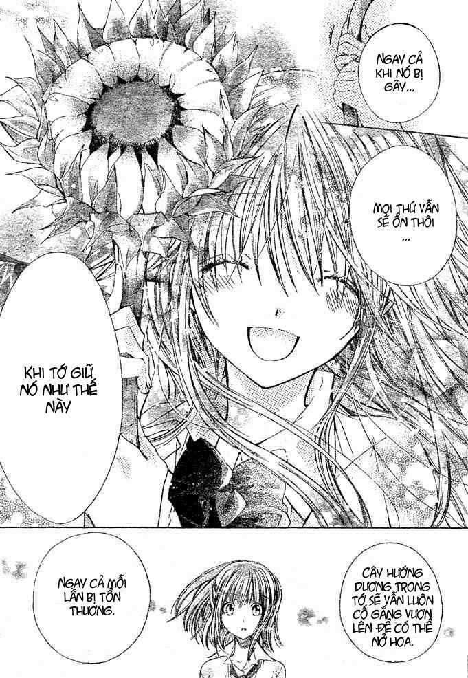 Kokoni Iru Yo Chapter 18 trang 31