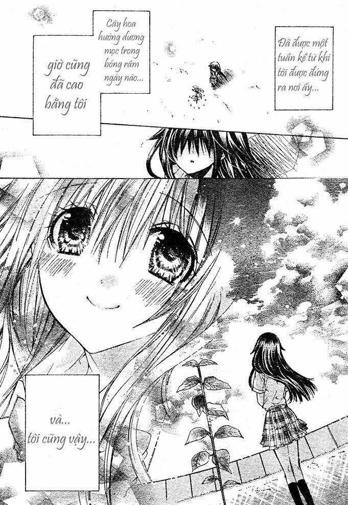 Kokoni Iru Yo Chapter 9 trang 4