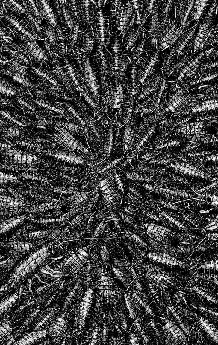 Kokou No Hito Chapter 103 trang 18