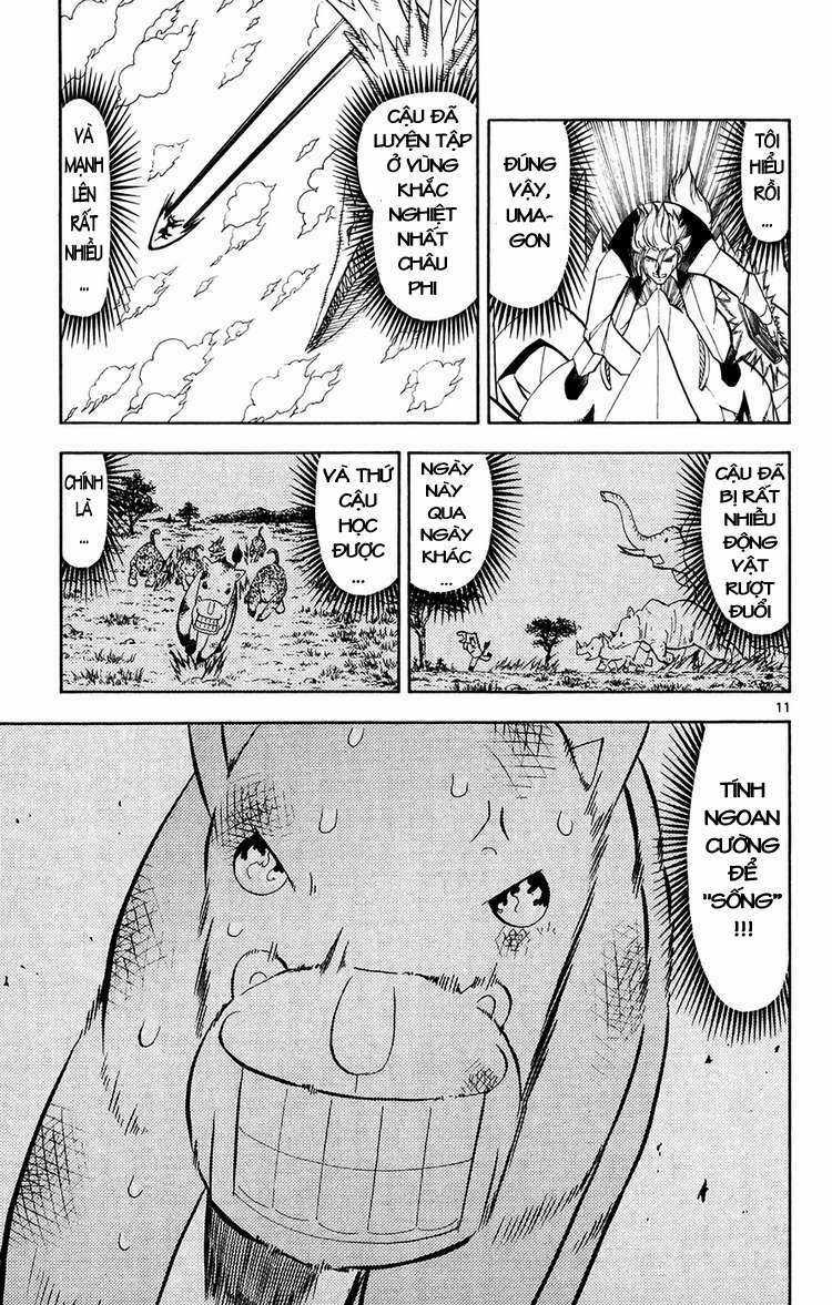 Konjiki no Gash!! Chapter 306 trang 11