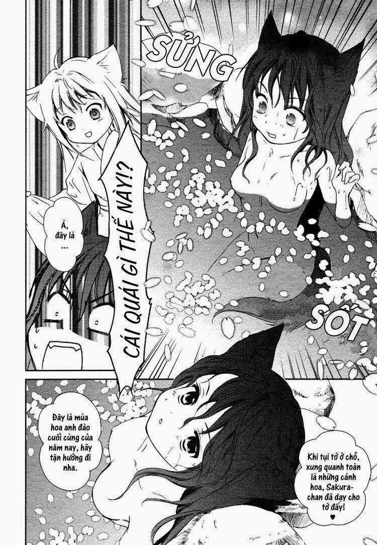 Konohanatei Kitan Chapter 2 trang 21
