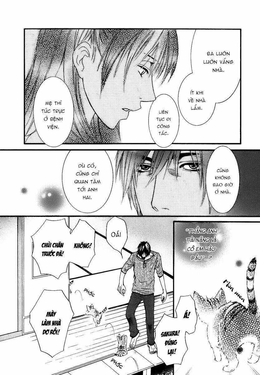 Kore Wa Koi No Hanashi Chapter 1 trang 31