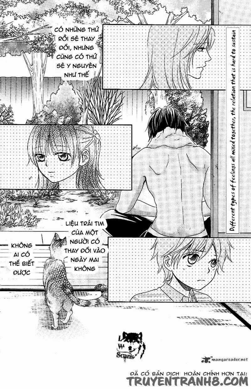 Kore Wa Koi No Hanashi Chapter 13 trang 41