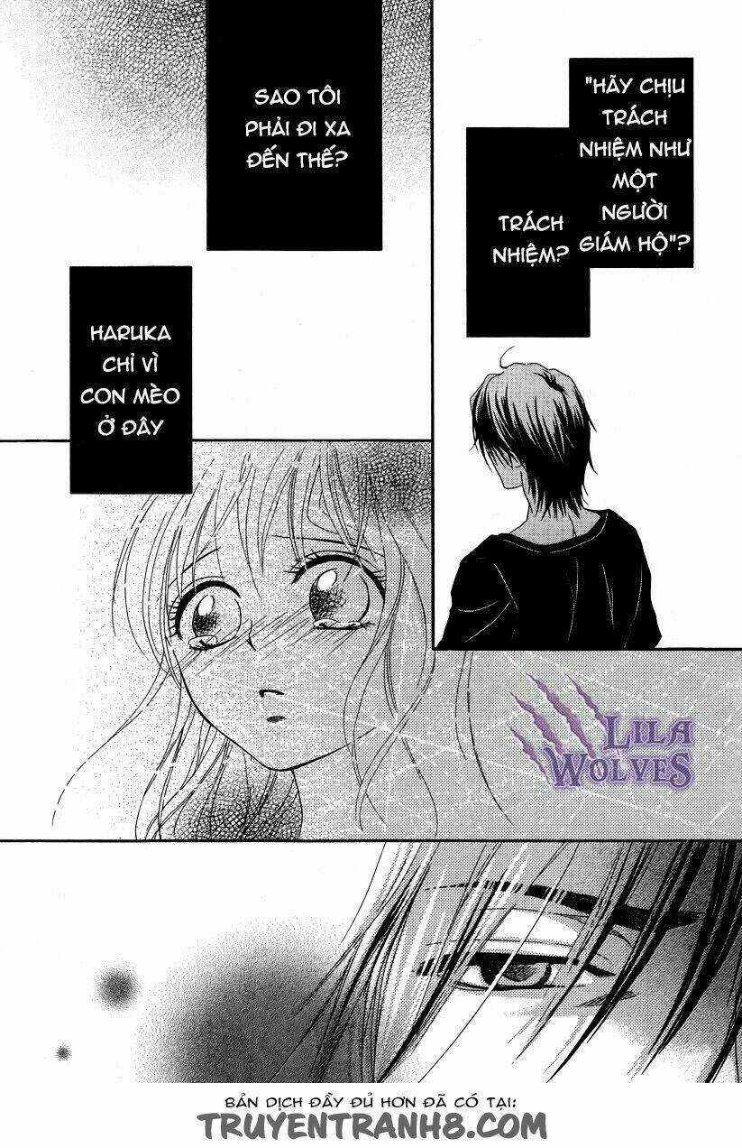 Kore Wa Koi No Hanashi Chapter 18 trang 13