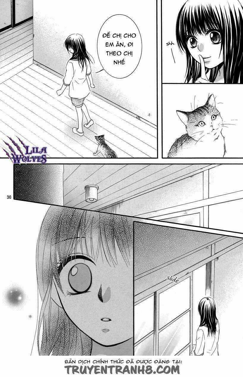 Kore Wa Koi No Hanashi Chapter 20 trang 31