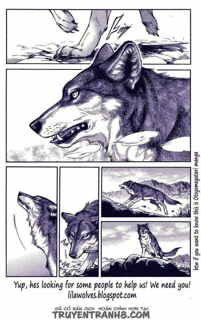 Kore Wa Koi No Hanashi Chapter 23 trang 41