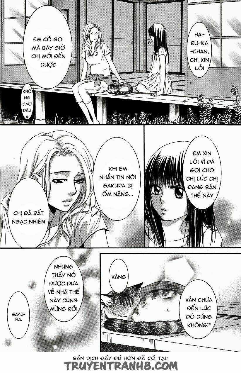 Kore Wa Koi No Hanashi Chapter 35 trang 13