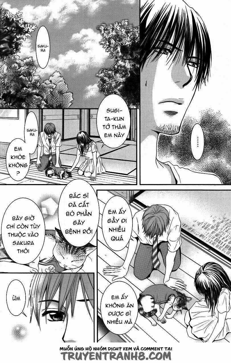 Kore Wa Koi No Hanashi Chapter 35 trang 21