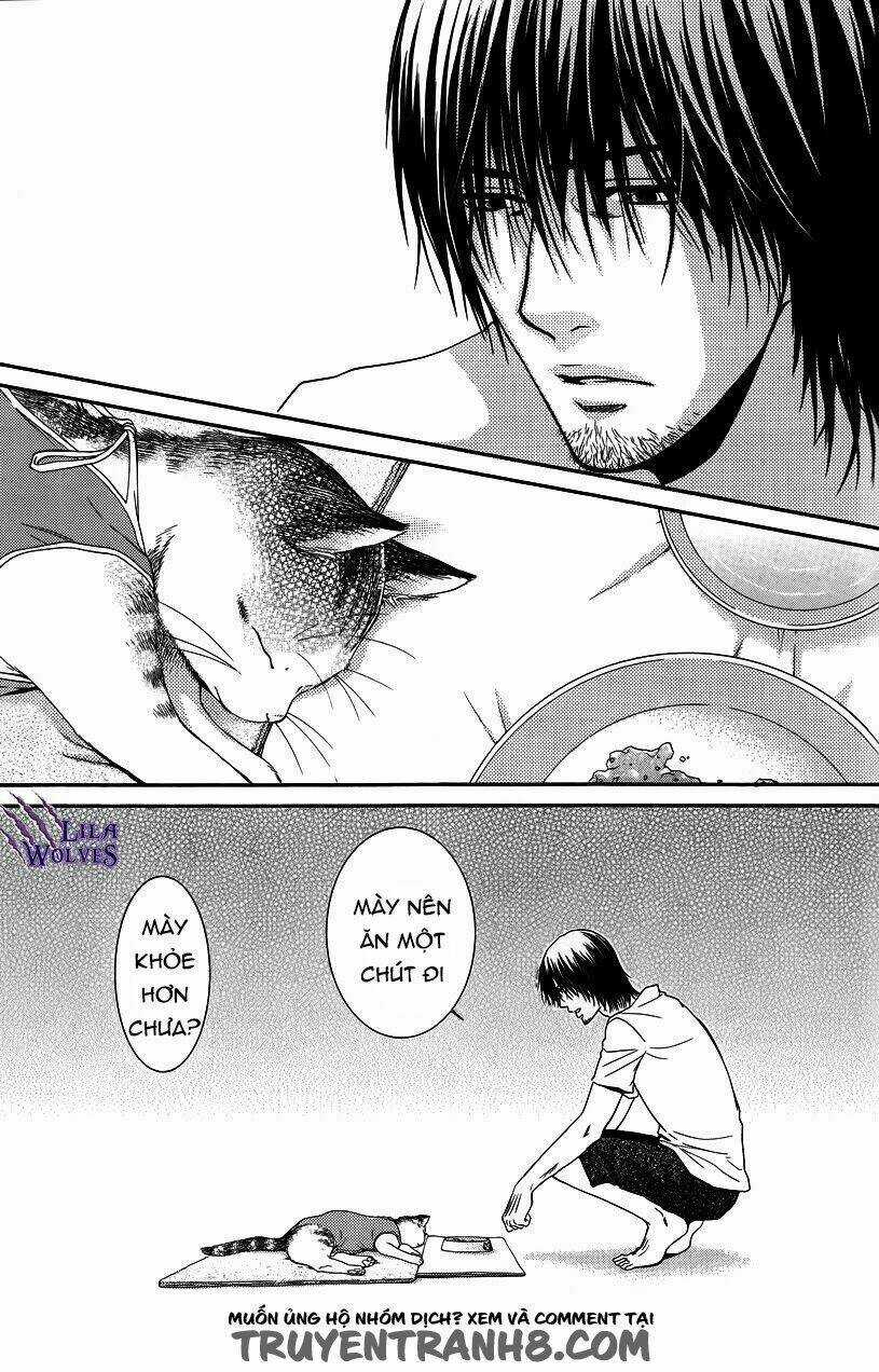 Kore Wa Koi No Hanashi Chapter 35 trang 4