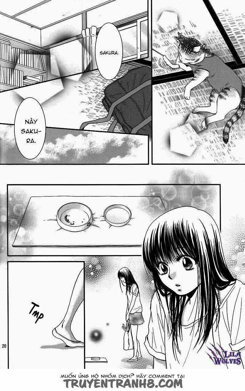 Kore Wa Koi No Hanashi Chapter 36 trang 23