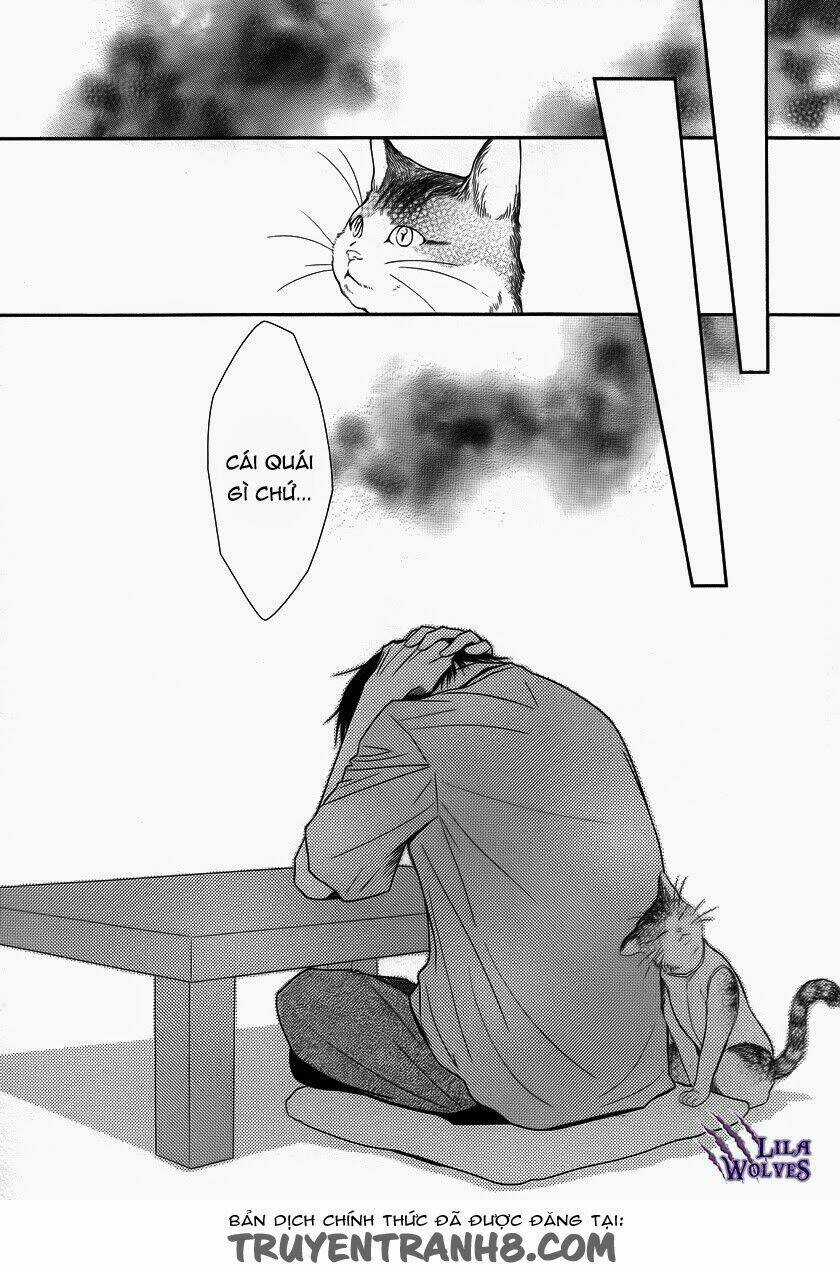 Kore Wa Koi No Hanashi Chapter 37 trang 39