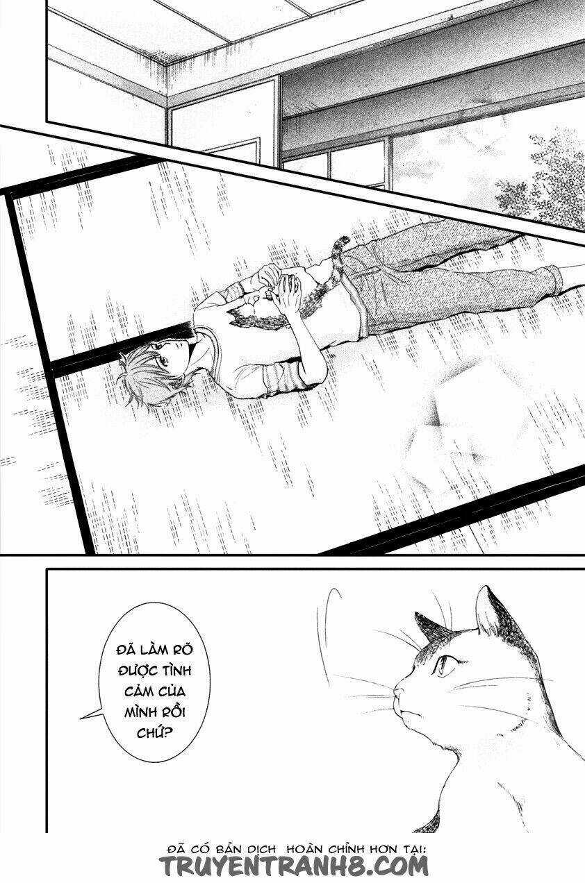 Kore Wa Koi No Hanashi Chapter 41 trang 20