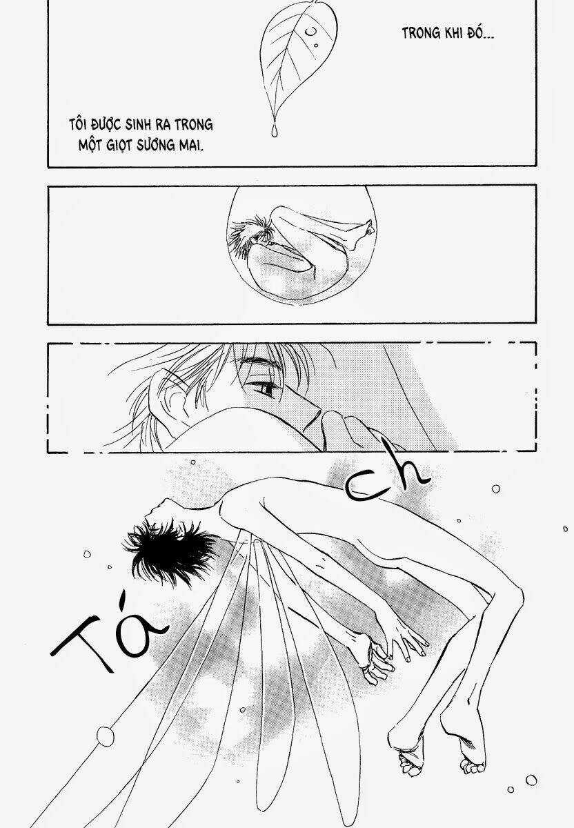 Koufuku no Ouji Chapter 2 trang 17