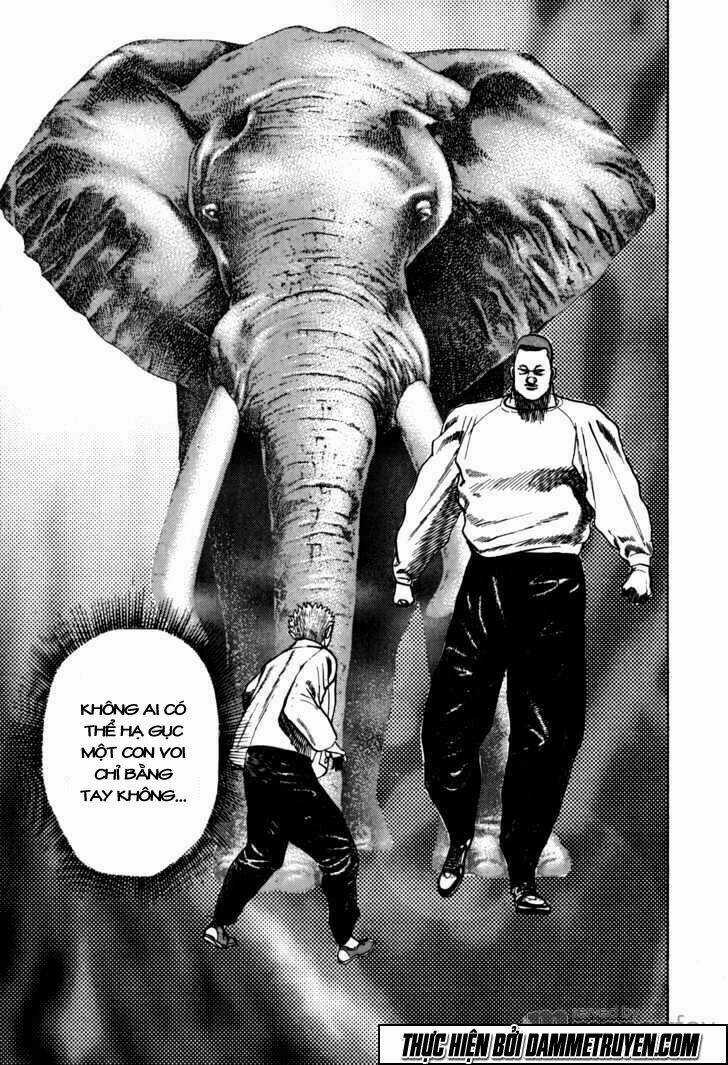 Koukou Tekkenden Tough Chapter 15 trang 14