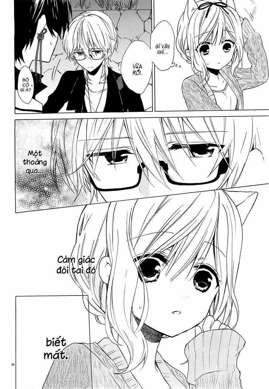 Kudamimi No Neko Chapter 4 trang 36