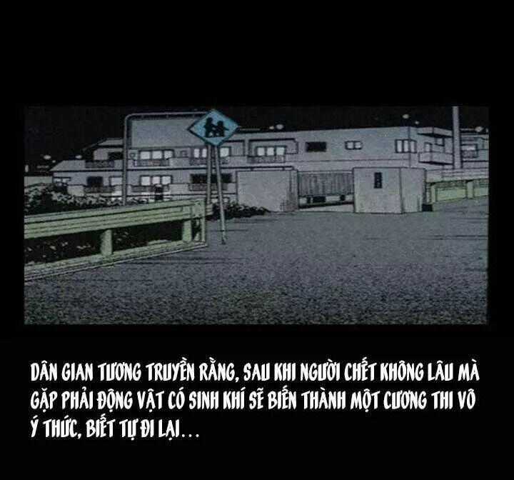 Kỳ Án Có Thật Chapter 34 trang 50