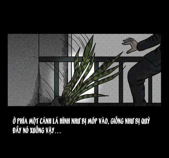 Kỳ Án Có Thật Chapter 39 trang 14