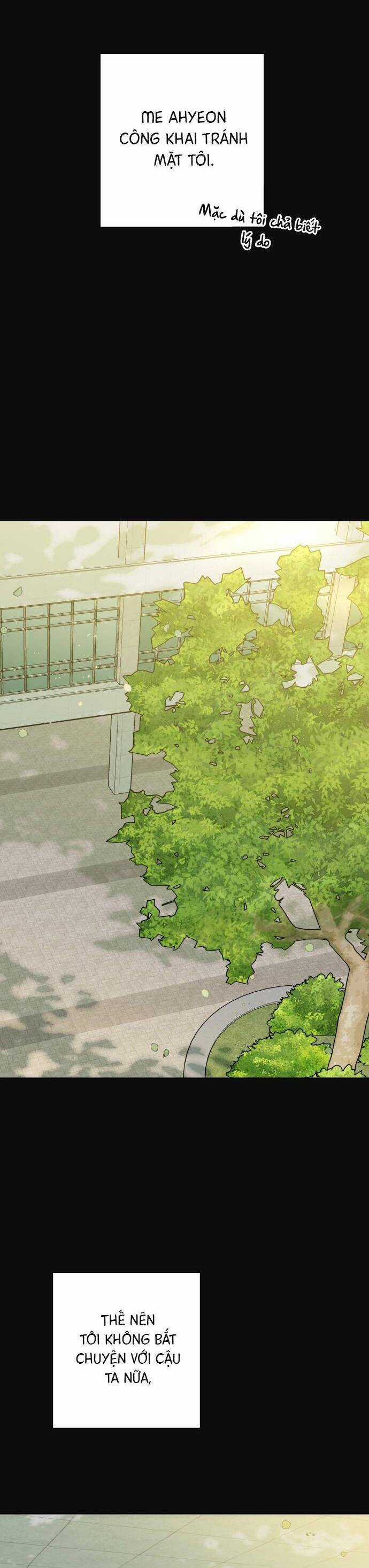 Kỷ Niệm Tuổi 19 Tồi Tệ Chapter 19 trang 13