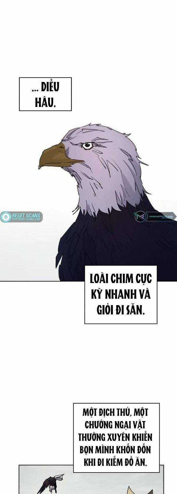 Kỵ Sĩ Báo Thù Chương 96 trang 39