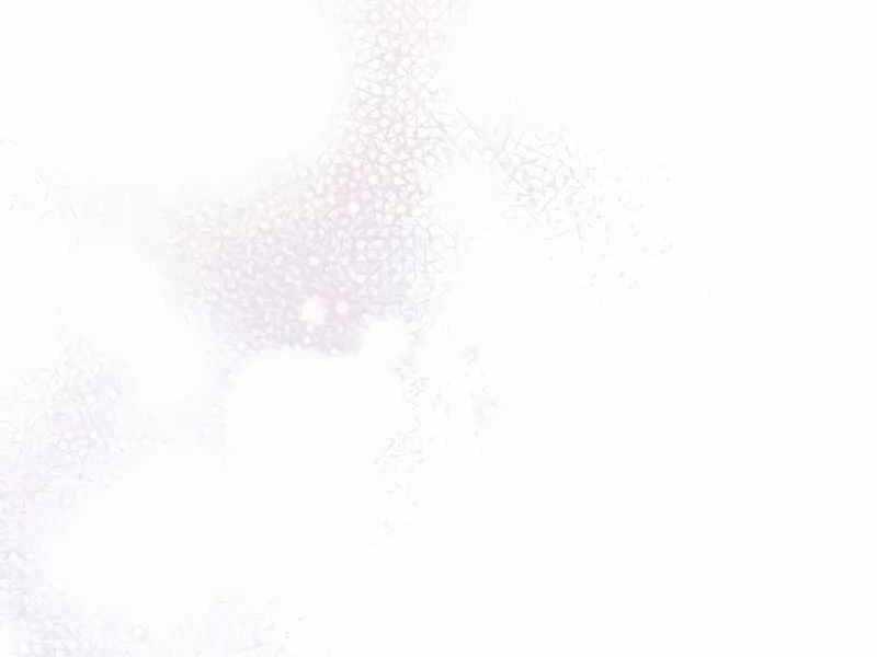 Ký Sự Hồi Quy Chương 117 trang 150