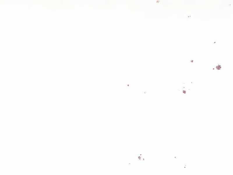 Ký Sự Hồi Quy Chương 117 trang 215