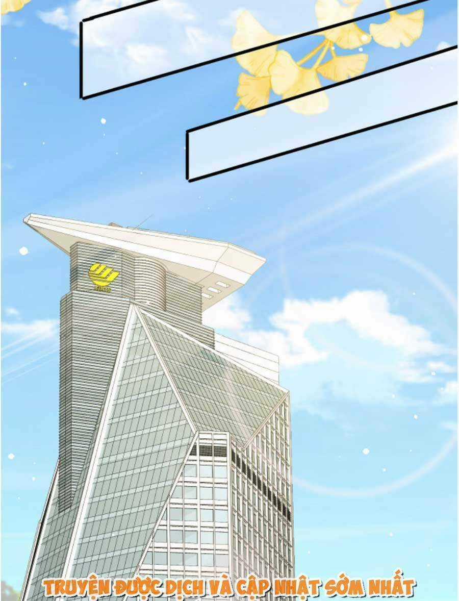 Kỷ Tổng Kiều Thê Vừa Hung Vừa Sủng Chapter 31 trang 12